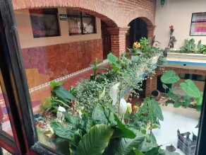 Hotel Palacio de Moctezuma - Vue de la chambre