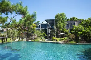 The Forest Museum - Pool
