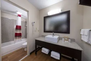 Red Roof Inn PLUS+ Huntsville – Madison - Salle de bain