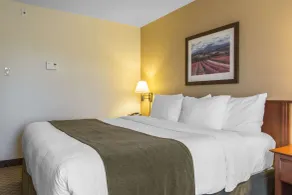 Quality Inn Airport - Chambre