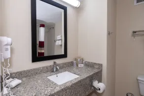 Red Roof Inn Prattville - Salle de bain
