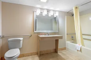 Econo Lodge Byron - Warner Robins - Bathroom