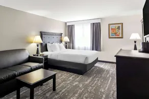 Best Western Saluki Inn - Chambre