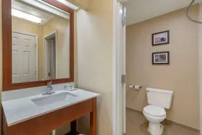 Comfort Inn & Suites - near Robins Air Force Base Main Gate - Salle de bain