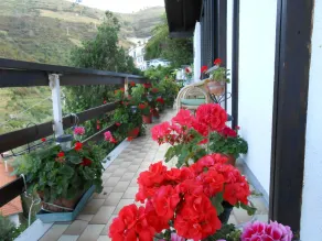 Cinqueterre Holidays - Balcon