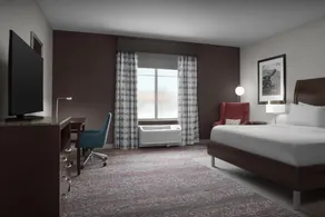 Hilton Garden Inn Gallup - Chambre