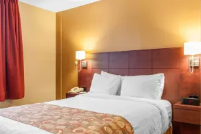 Quality Hotel & Suites - Chambre
