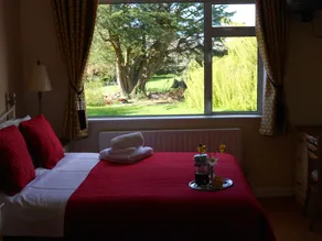 The Gardens guest accommodation - Vistas desde la habitación