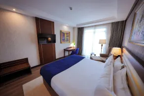 Wellborn Luxury Hotel - View from room