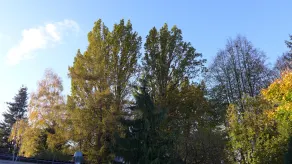 Hotel Heidpark - Vue de la chambre