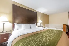 Quality Inn & Suites Portsmouth - Chambre