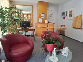 Logis Hotel Le Cygne - Rezeption