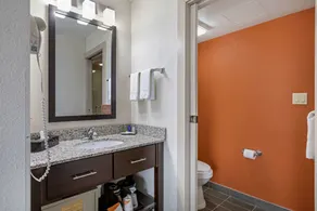 Sleep Inn DeWitt - Lansing North - Salle de bain