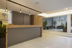 Athens Panorama Project - Reception