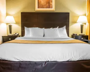 Comfort Inn Whitehall near Michigan's Adventure - Chambre