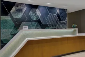 SpringHill Suites by Marriott Franklin Cool Springs - Réception