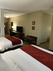 Comfort Suites West Omaha - Chambre