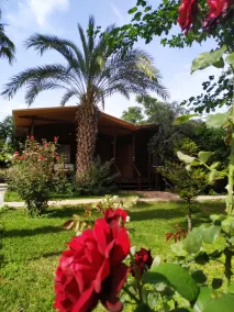 Olympos Yavuz Hotel - Vistas desde la habitación