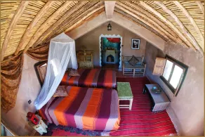 Lodge Hara Oasis - Værelse