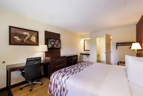 Red Roof Inn Kalamazoo East – Expo Center - Habitación