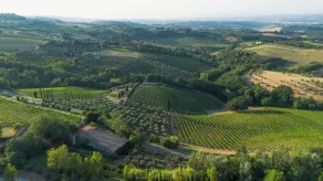 Cappuccina Country Resort - View from room