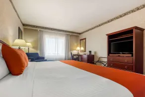 Quality Inn Monterrey La Fe - Chambre