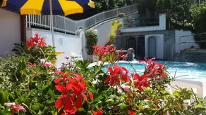 Hotel Terme Fiola - Piscina