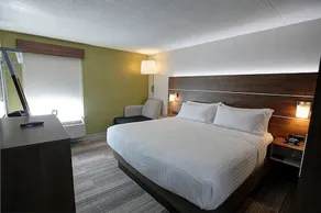 Holiday Inn Express & Suites Toronto Airport West by IHG - Room