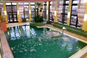 Chateau Monty Spa Resort - Pool