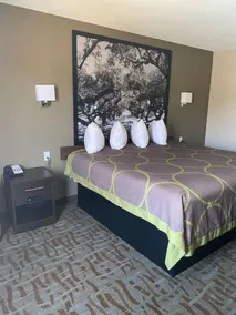 SureStay Hotel by Best Western Alexandria - Chambre