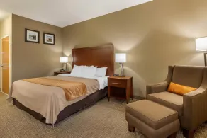 Comfort Inn Walcott near Davenport - Værelse