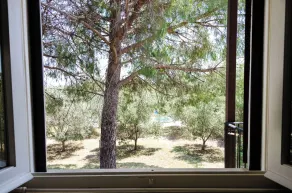 Agriturismo la Fragolaia - Udsigt fra værelset