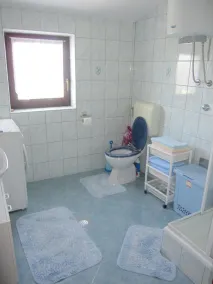 Apartment Lordanic Zaglav, Dugi otok - Bathroom