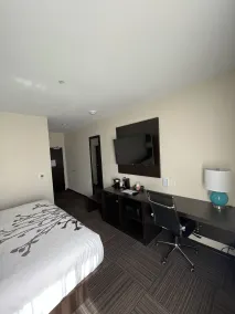 Sleep Inn Dallas Northwest - Irving - Room