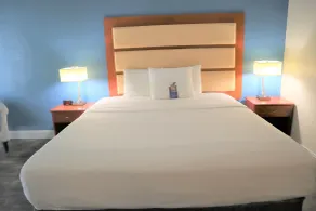 Baymont by Wyndham Norcross Atlanta - Chambre