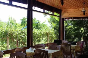 Alibaba Pension - Restaurant