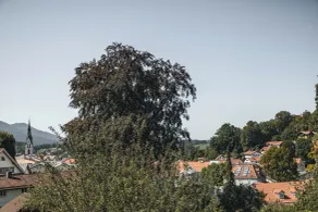 Suiten Zantl - Vista dalla camera