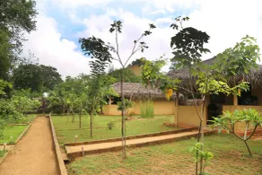 Niyagala Lodge - View from room