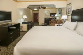 Holiday Inn Express and Suites Bakersfield Central by IHG - Chambre