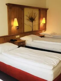 Hotel Braník - Chambre