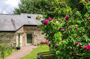 The Plume of Feathers - Reception