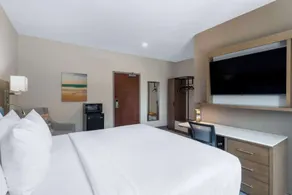 TRYP by Wyndham Tallahassee North I-10 Capital Circle - Værelse