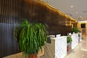 Yihe Hotel Luoyang - Réception