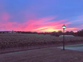 Riverbend Inn & Vineyard - View from room