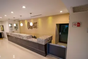 Araiza Palmira Hotel y Centro de Convenciones - Réception