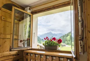 Chalet Bluebell - View from room