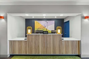 Spark by Hilton Killeen - Réception