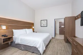 Holiday Inn Express & Suites - Elkhart North by IHG - Chambre
