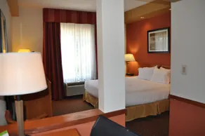 Holiday Inn Express Williamston by IHG - Habitación