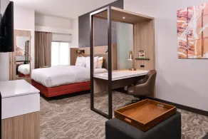 SpringHill Suites by Marriott Greensboro Airport - Chambre